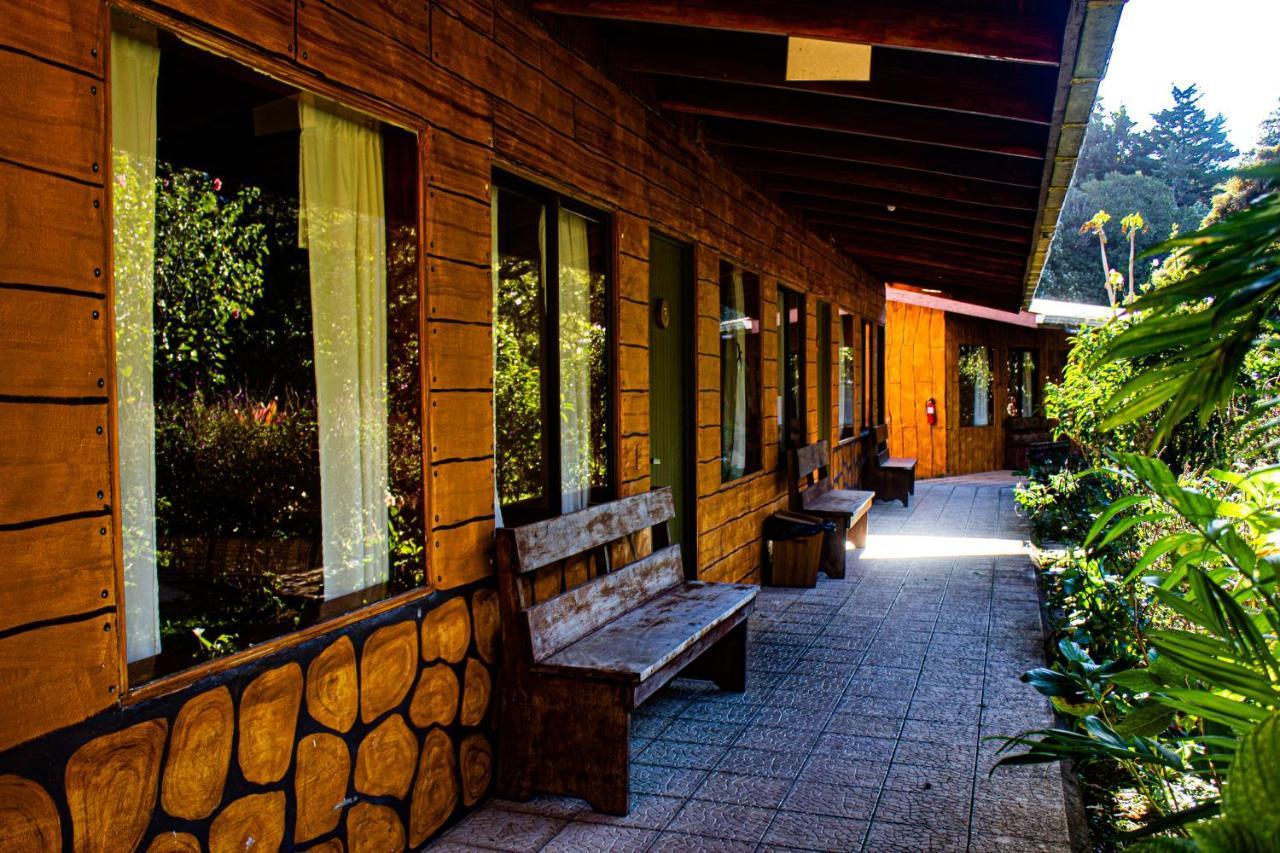 El Bosque Lodging Villa Monteverde Eksteriør bilde