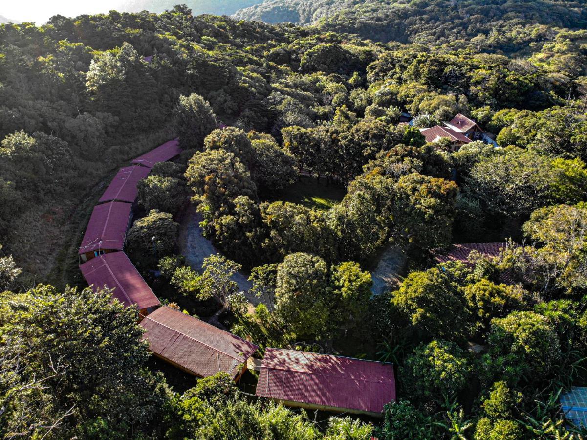 El Bosque Lodging Villa Monteverde Eksteriør bilde